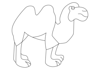 Chameau 01 - Coloriages animaux - Coloriages - 10doigts.fr