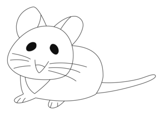 Souris 14 - Coloriages animaux - Coloriages - 10doigts.fr