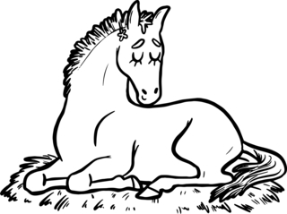 Animaux-domestique10 - Coloriages animaux - Coloriages - 10doigts.fr