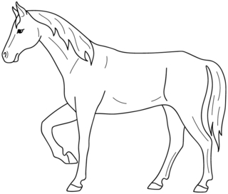 Cheval08 - Coloriages animaux - Coloriages - 10doigts.fr