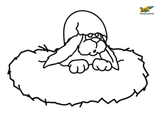 Chien 35 - Coloriages animaux - Coloriages - 10doigts.fr
