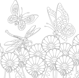 Animaux-volants19 - Coloriages animaux - Coloriages - 10doigts.fr