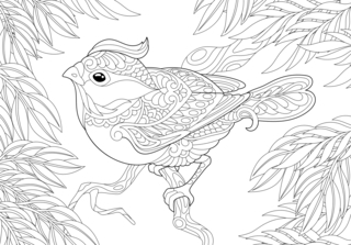 Animaux-volants21 - Coloriages animaux - Coloriages - 10doigts.fr