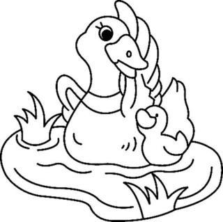 Canard 04 - Coloriages animaux - Coloriages - 10doigts.fr