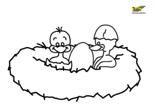 Canard 24 - Coloriages animaux - Coloriages - 10doigts.fr