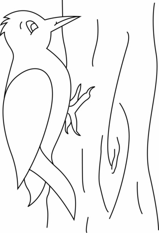 Oiseau 12 - Coloriages animaux - Coloriages - 10doigts.fr