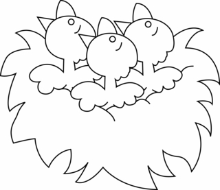 Oiseau 13 - Coloriages animaux - Coloriages - 10doigts.fr