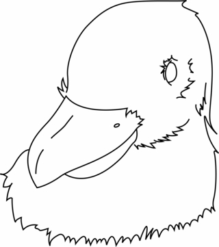 Oiseau 34 - Coloriages animaux - Coloriages - 10doigts.fr