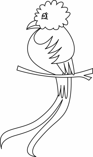 Oiseau 36 - Coloriages animaux - Coloriages - 10doigts.fr