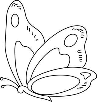 Papillon 13 - Coloriages animaux - Coloriages - 10doigts.fr