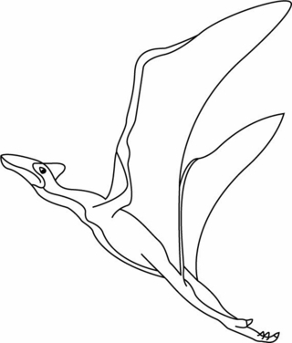 Quezalcoatlus - Coloriages dinosaure - Coloriages - 10doigts.fr