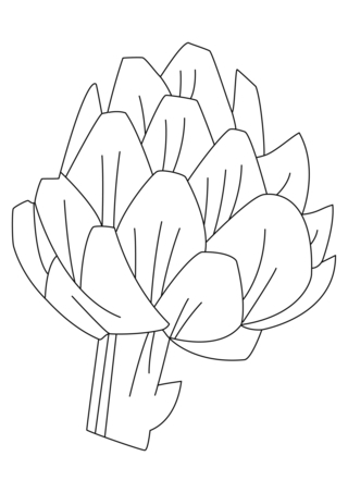 Artichaut 01 - Coloriages fleurs, fruits et légumes - Coloriages - 10doigts.fr