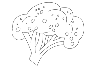 Brocolis 01 - Coloriages fleurs, fruits et légumes - Coloriages - 10doigts.fr