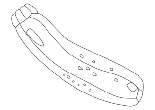 Courgette 01 - Coloriages fleurs, fruits et légumes - Coloriages - 10doigts.fr