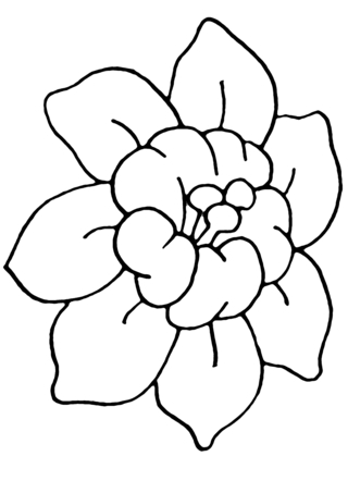Fleur 006 - Coloriages fleurs, fruits et légumes - Coloriages - 10doigts.fr