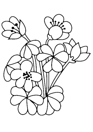 Fleurs 002 - Coloriages fleurs, fruits et légumes - Coloriages - 10doigts.fr