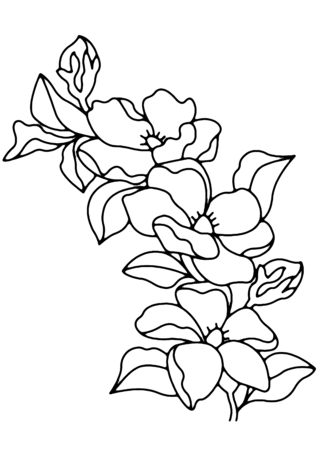 Fleurs 009 - Coloriages fleurs, fruits et légumes - Coloriages - 10doigts.fr