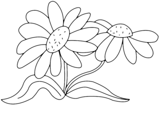 Fleurs 011 - Coloriages fleurs, fruits et légumes - Coloriages - 10doigts.fr