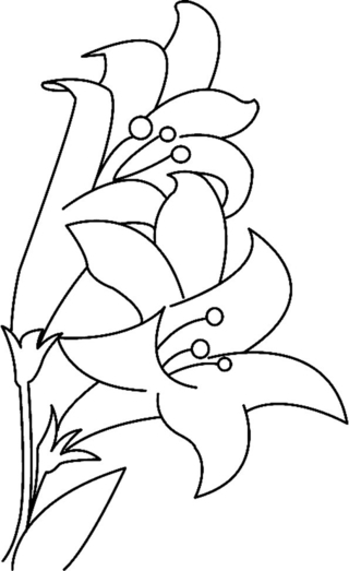 Fleurs 023 - Coloriages fleurs, fruits et légumes - Coloriages - 10doigts.fr