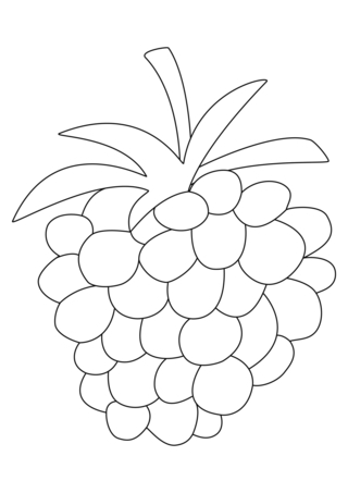 Framboise 01 - Coloriages fleurs, fruits et légumes - Coloriages - 10doigts.fr