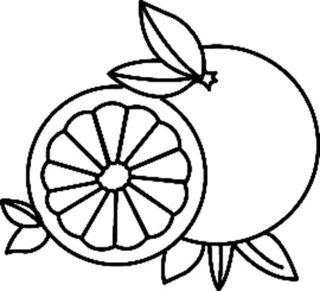 Orange 01 - Coloriages fleurs, fruits et légumes - Coloriages - 10doigts.fr