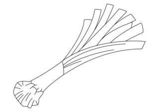Poireau 02 - Coloriages fleurs, fruits et légumes - Coloriages - 10doigts.fr