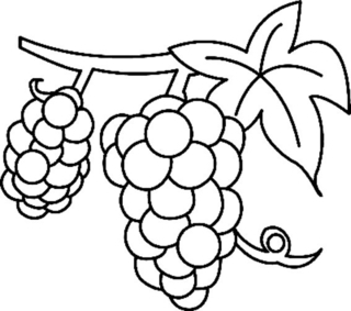 Raisin 01 - Coloriages fleurs, fruits et légumes - Coloriages - 10doigts.fr