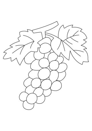Raisins 02 - Coloriages fleurs, fruits et légumes - Coloriages - 10doigts.fr