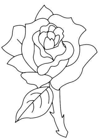Rose 02 - Coloriages fleurs, fruits et légumes - Coloriages - 10doigts.fr