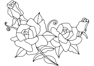Roses 01 - Coloriages fleurs, fruits et légumes - Coloriages - 10doigts.fr