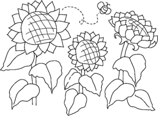 Tournesols 03 - Coloriages fleurs, fruits et légumes - Coloriages - 10doigts.fr