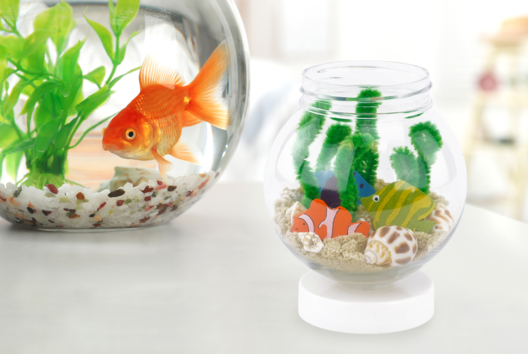 aquarium DIY enfants poissons - Activités manuelles animaux - 10doigts.fr