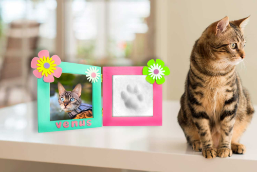 cadre empreinte chat - Activités manuelles objets décorés - 10doigts.fr