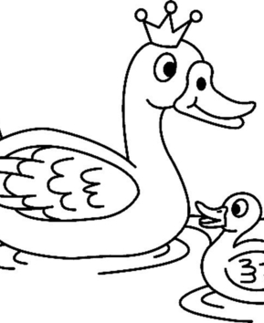 Canard03 - 10doigts.fr