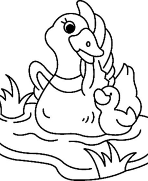 Canard04 - 10doigts.fr