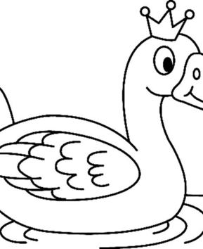 Canard19 - 10doigts.fr