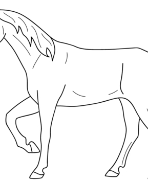 Cheval 08 - 10doigts.fr