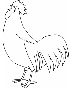 Coq 01 - 10doigts.fr