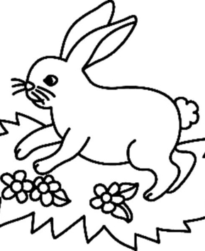 Lapin17 - 10doigts.fr