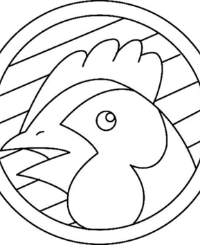 Poule 08 - 10doigts.fr