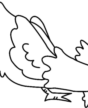 Poule 09 - 10doigts.fr