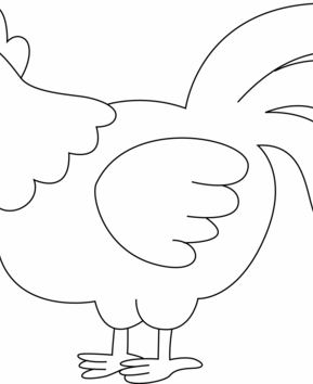 Poule 10 - 10doigts.fr