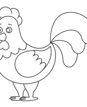 Poule 13 - 10doigts.fr