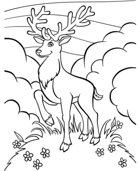 Animaux-foret3 - 10doigts.fr