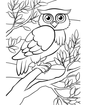 Animaux-foret4 - 10doigts.fr