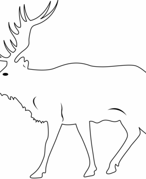 Cerf 02 - 10doigts.fr