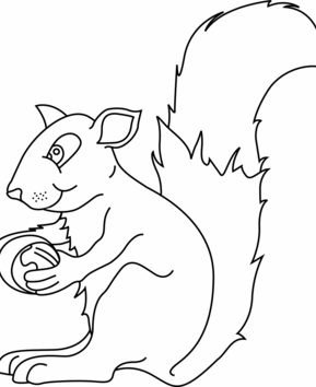 Ecureuil 03 - 10doigts.fr