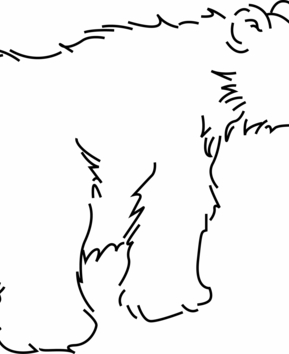 Ours02 - 10doigts.fr