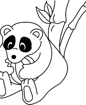 Panda 04 - 10doigts.fr