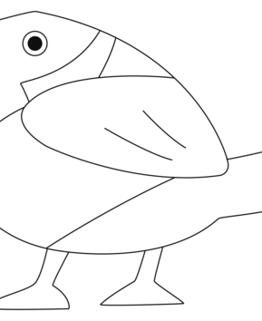 Pie 01 - 10doigts.fr